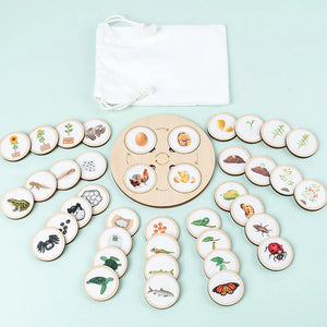 LifeSteps – Entdecke Lebenszyklen – Holzpuzzle-Set
