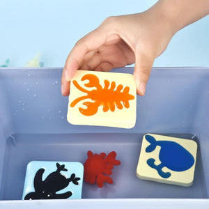 AquaFairy - Wassergelee Kreativ Set