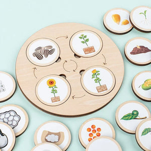 LifeSteps – Entdecke Lebenszyklen – Holzpuzzle-Set