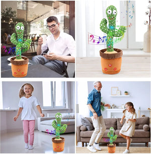 Grooviger Kaktus
