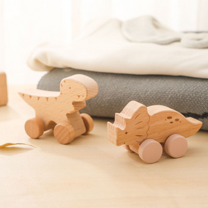 Montessori Holz Zug Pastelfarben