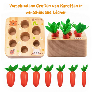Montessori Lern- und Entwicklungsspielzeug aus Holz