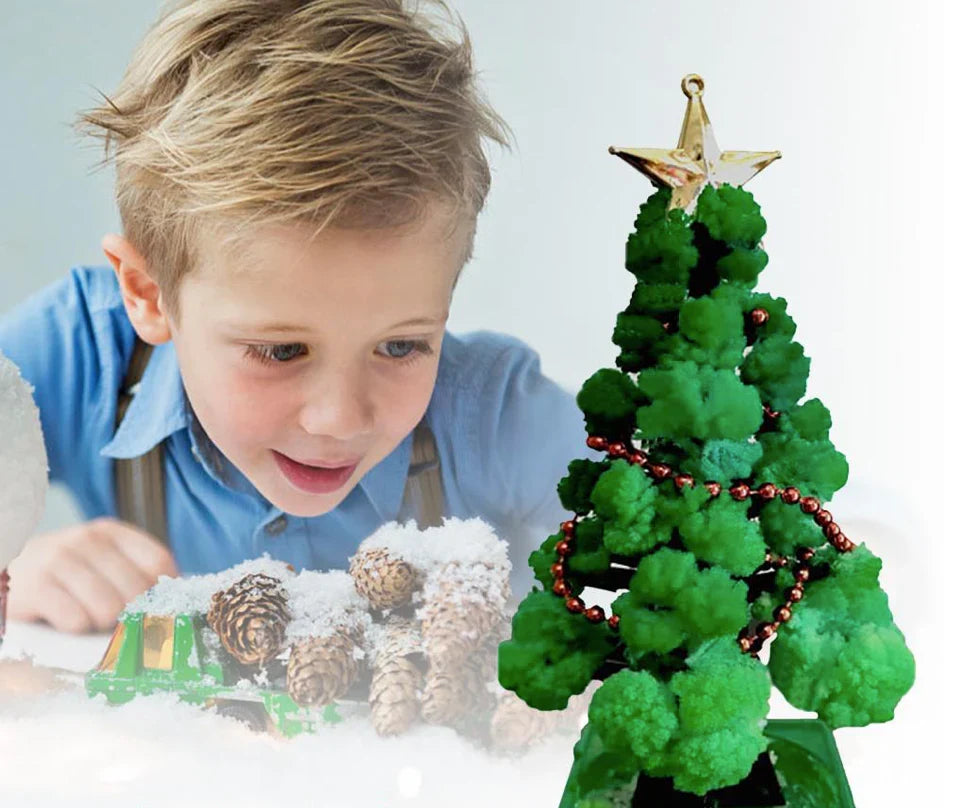 Mini-Weihnachtsbaum Anbauset – Züchte deinen eigenen Baum!