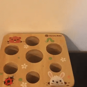 Karotten-Puzzle – Entdecke Verschiedene Größen – Lernspielzeug