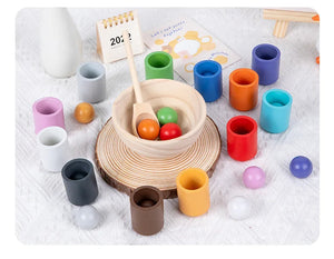 Montessori Sortier und Farberkennung Holz Set