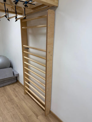 Kindergarten Sprossenwand 2 Meter - Kletterwand für Kita & Kindergarten - Hartholz Rundstäbe, schlagfest lackiert, belastbar bis 80kg, inkl. Einhänge-Modul