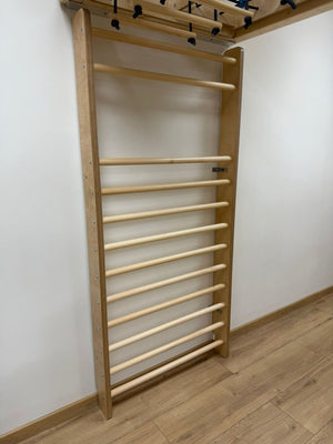 Kindergarten Sprossenwand 2 Meter - Kletterwand für Kita & Kindergarten - Hartholz Rundstäbe, schlagfest lackiert, belastbar bis 80kg, inkl. Einhänge-Modul